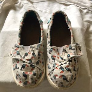 Toddler bird Toms.